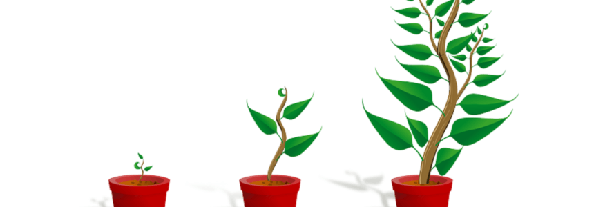 Are you Ready for Growth? How to become ready for Growth?