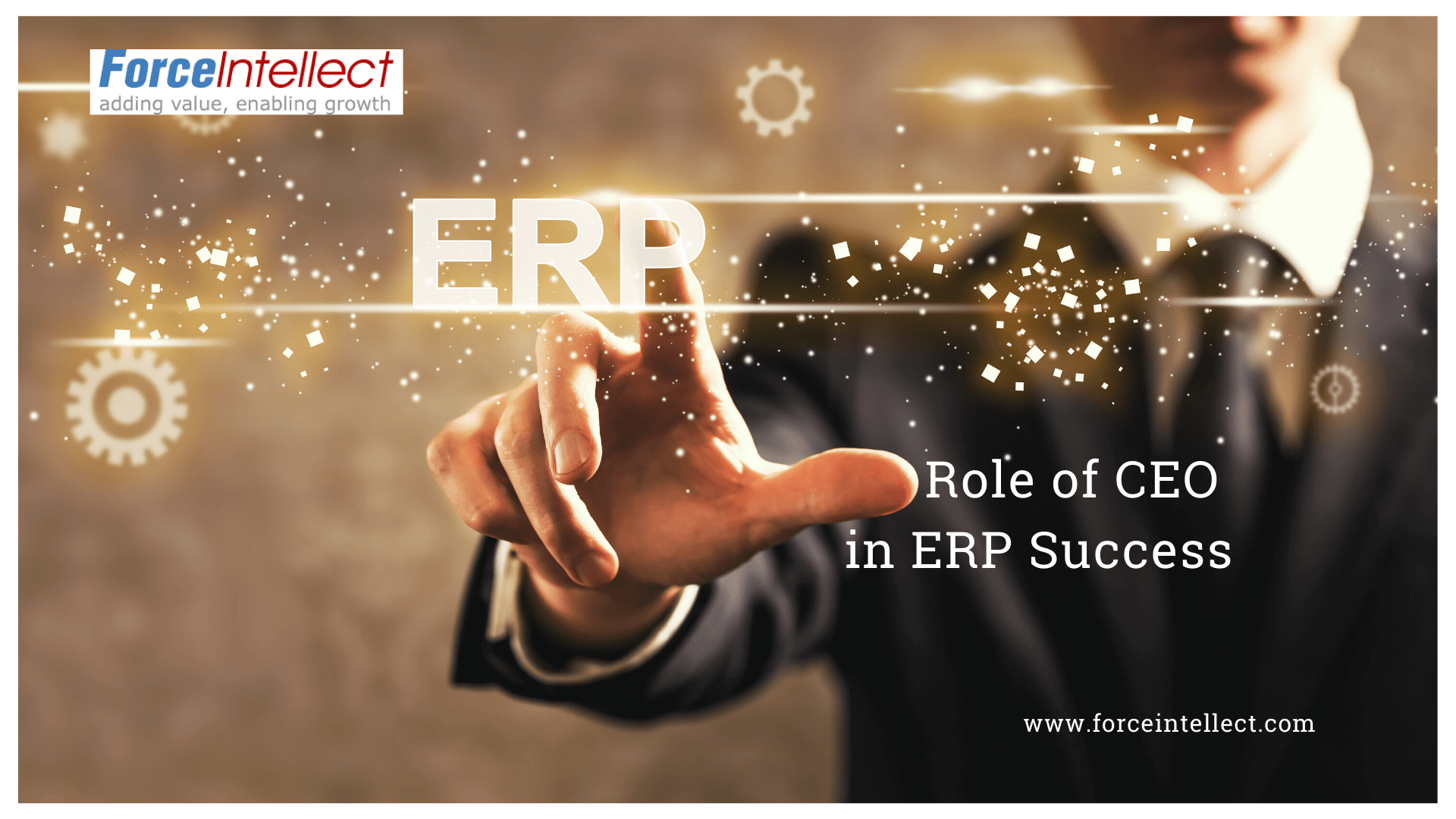 The Role of the CEO in ERP Success